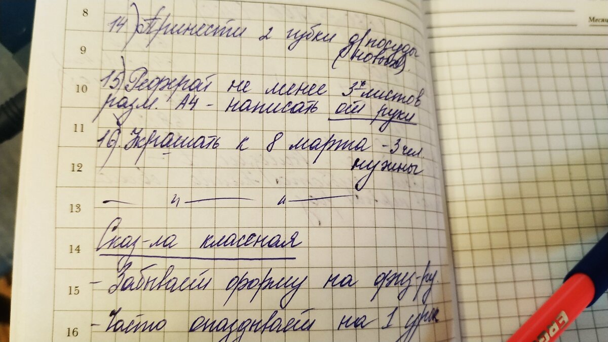 фото моё, часть моих записей с собрания