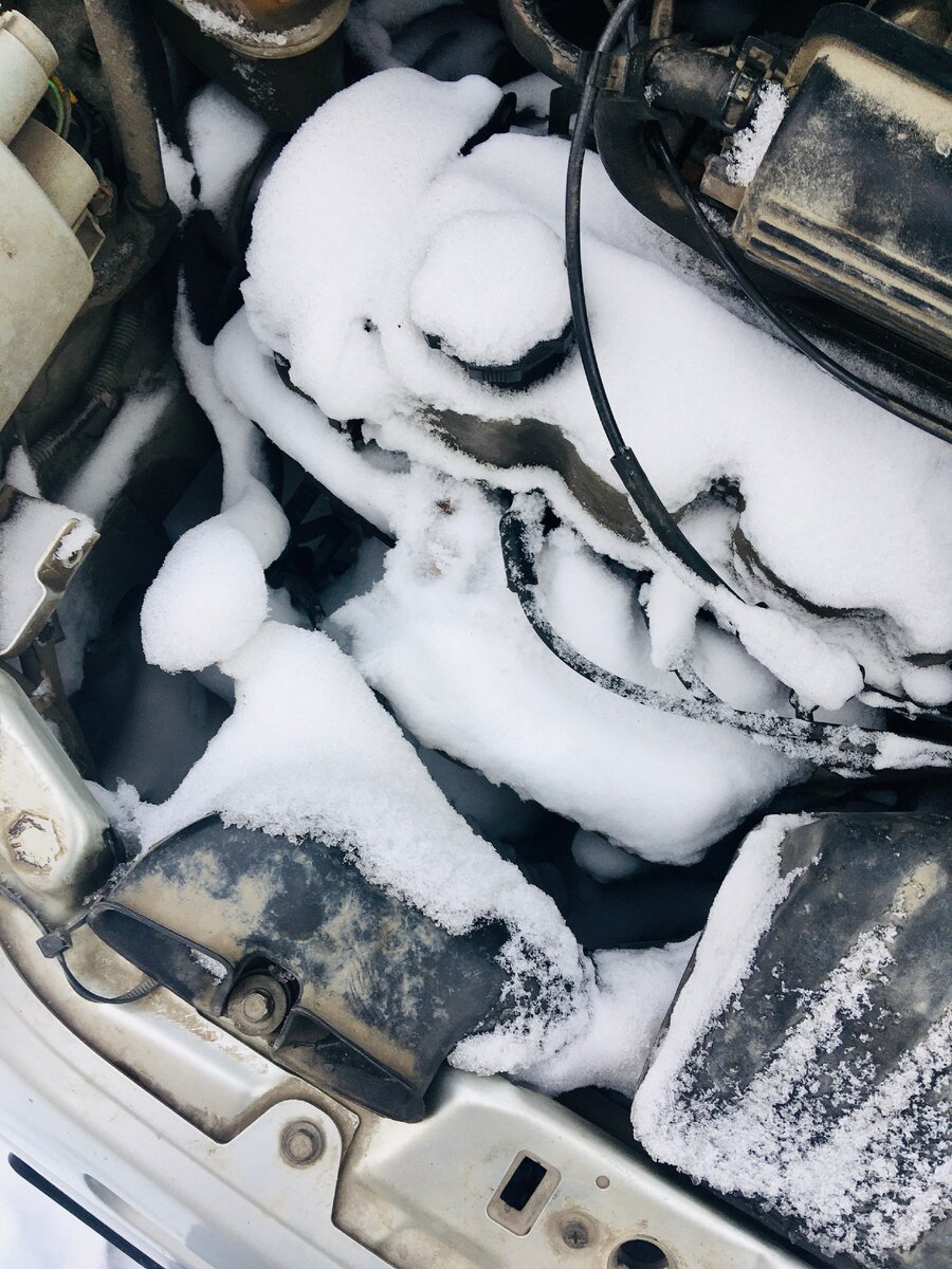 За ночь намело даже под капот