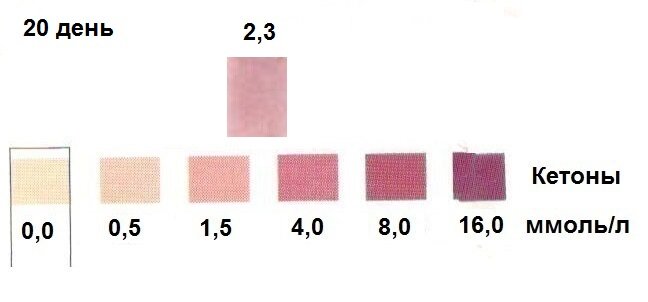 Кетоны - эталонная полоска и тест-полоска 20 дня