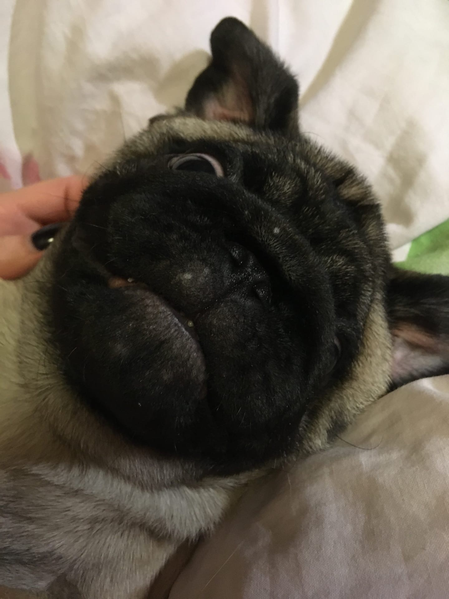 Первый день