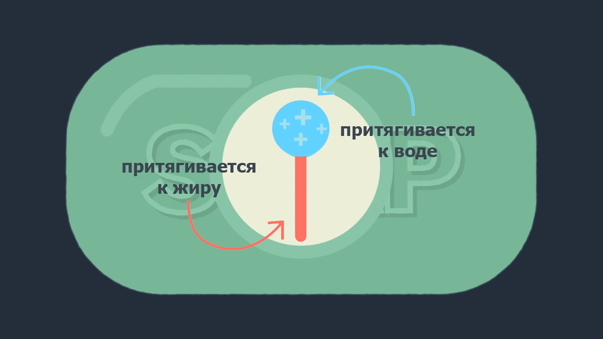 Молекула мыла