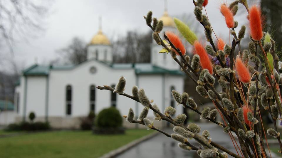 Верба и храм