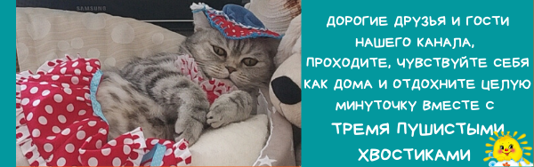 кошки. три пушистых хвостика
