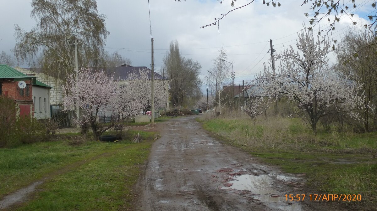 И нет матушке природе никаких дел до пандемии, самоизоляции, штрафов за "нарушения" этой самой изоляции, карантинов и т. п. Всё это выдумано людьми и природа этого не принимает и не привествует.