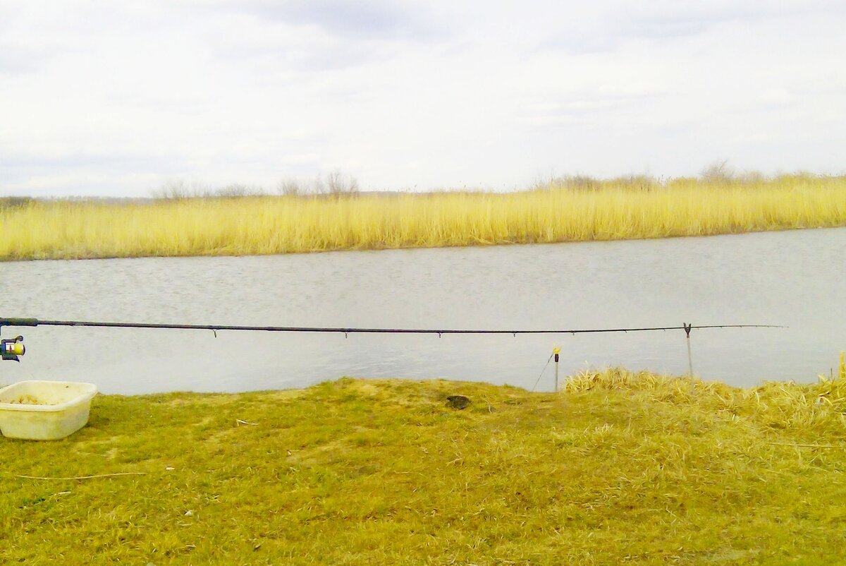 Ветер на этом участке дует в спину. Кроме фидера, в такую погоду ни на что не половишь.