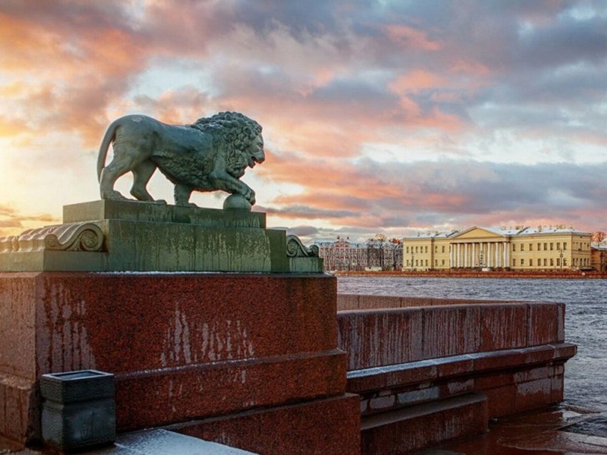 Львы на Адмиралтейской набережной у дворцового моста