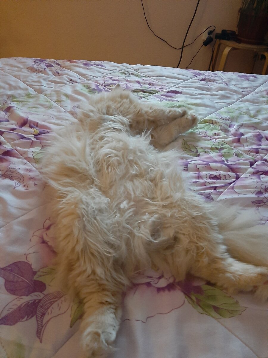 Любимая поза нашей девушки))