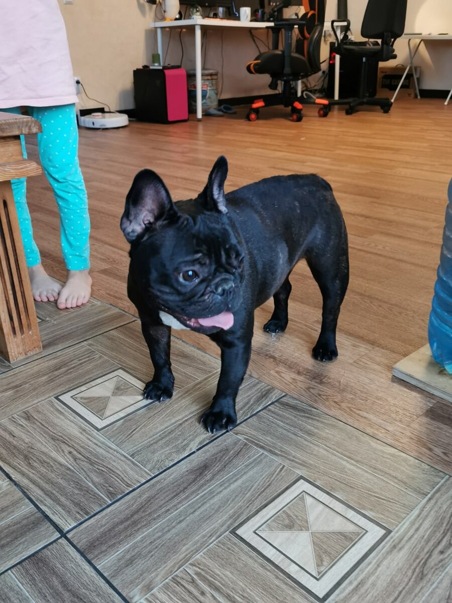 Первые минуты дома (фото автора)