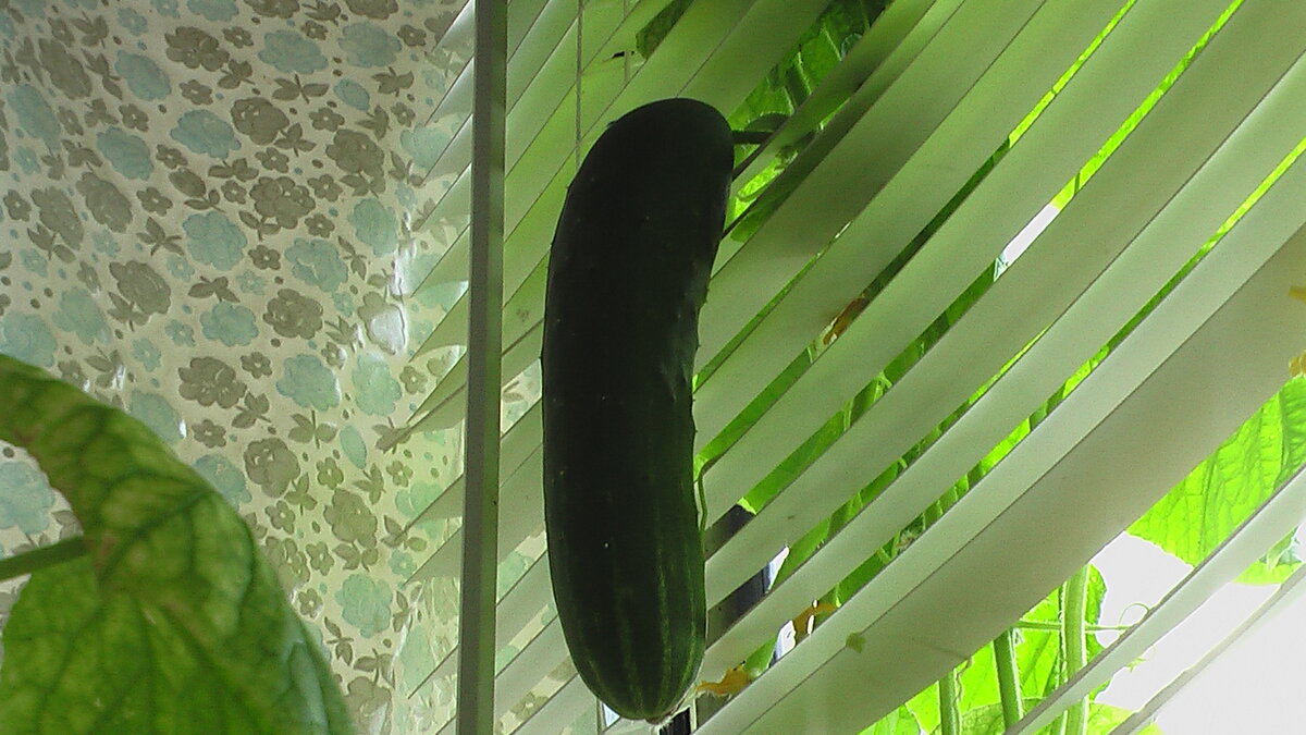 Фото из личного архива.