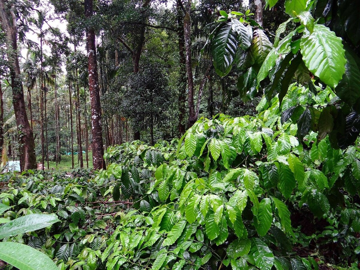 Фото: pixabay.com