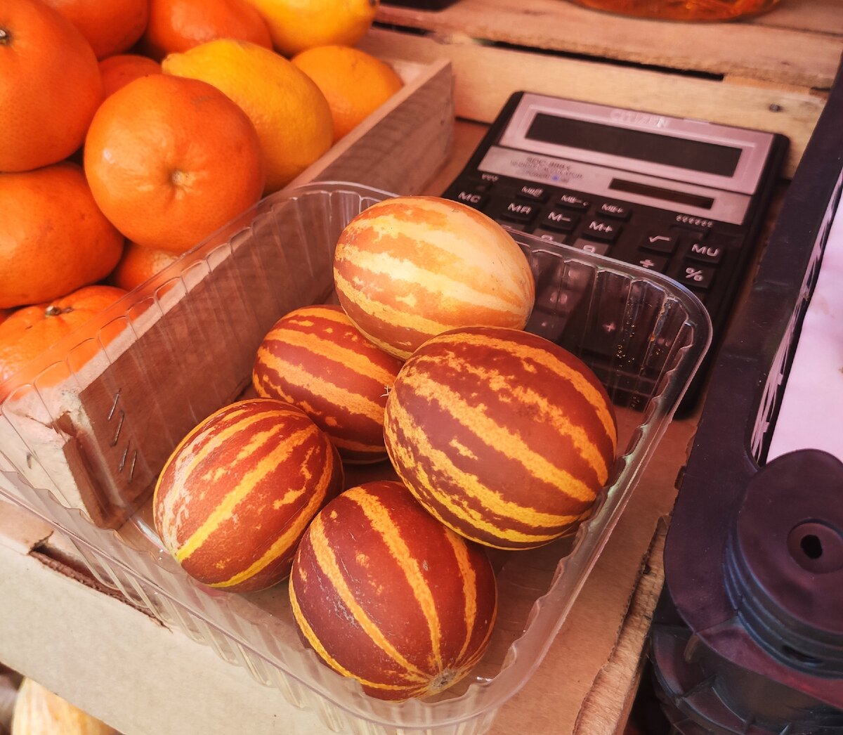 Арбуз или дыня?