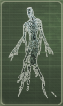 Первое на что надо обратить своё внимание это на время активности данного создания и это день. С появлением первых лучей солнца появляется оно и то, проявит себя в одном только случаи, если прямой луч солнца у падёт на ваше тело, соприкоснётся с кожей. Если вы будите днём находиться под тенью чего-либо, то и встреча с данным объектом не состоится. Но в случаи соприкосновения солнечного луча с вами, данное нечто материализуется и будет настроено в ваш адрес агрессивно и совершит нападение. Атака Призрака заключается в следующем, ему необходимо пройти сквозь вас, тем самым он повреждает внутренние органы. Если близкий контакт (он пройдёт сквозь вас) с призраком будет лишь единожды, то большого урона органам не будет, но дальнейшие контакты могут довести до серьёзных травм и смерти. Внешне призрак похож на прозрачный контур человека, без нижней части, снизу что-то наподобие лоскутов его тела, которые развиваются вовремя его левитации. На месте предполагаемой головы глаз, ушей или носа нет.
