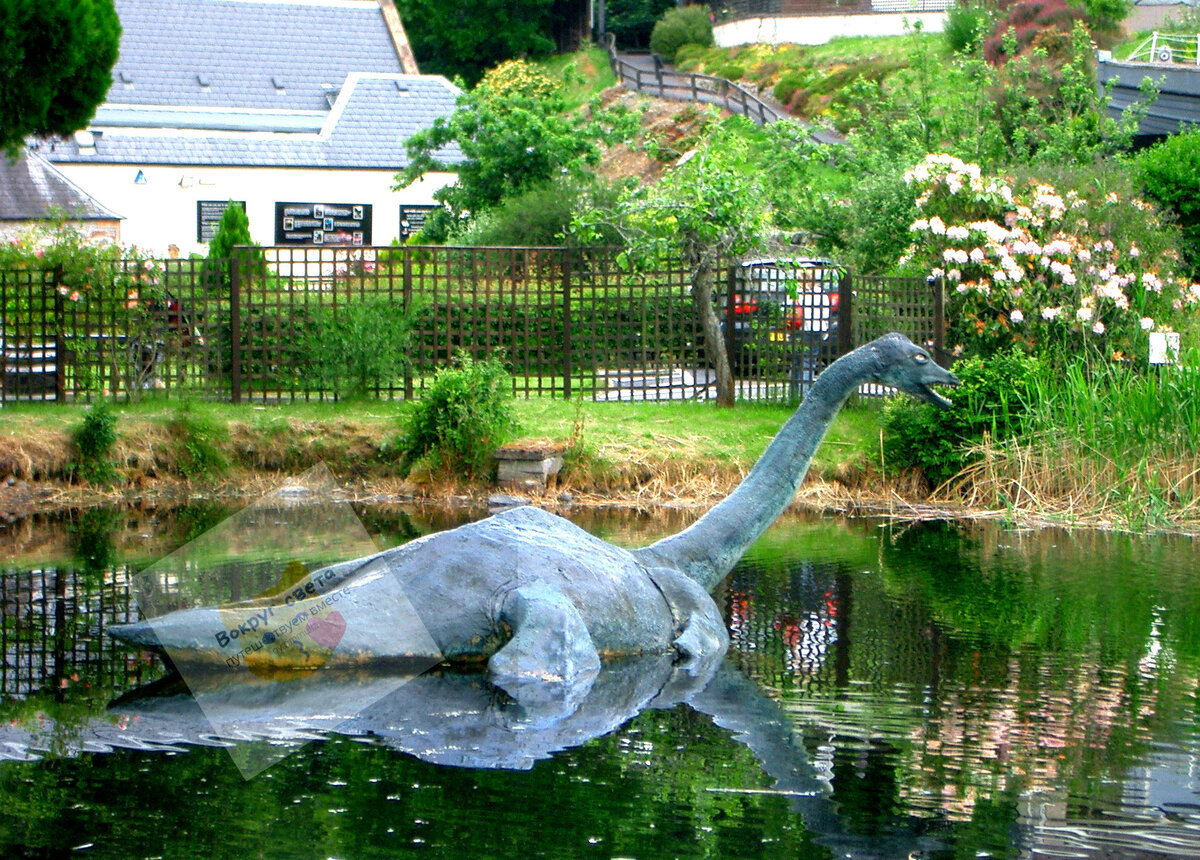 лохнесское чудовище