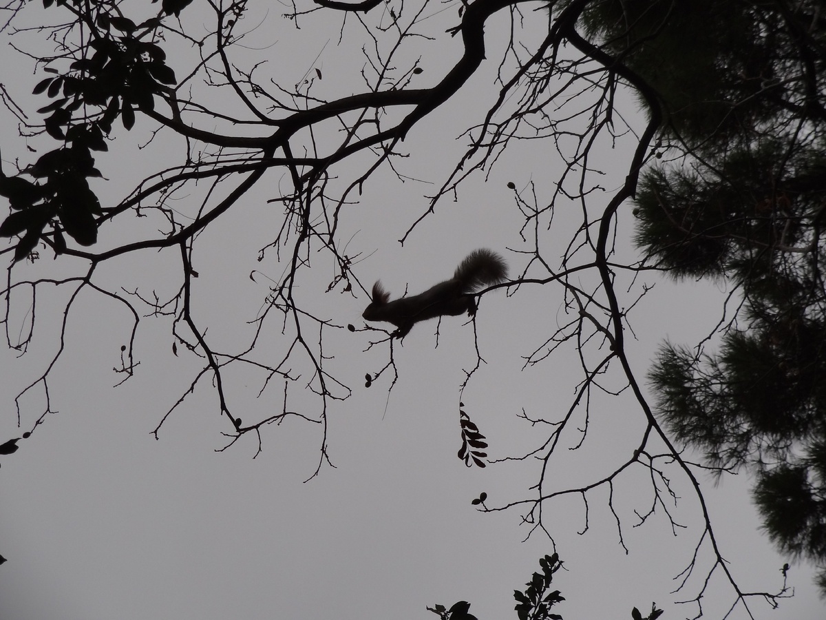 И даже вот такое чудо можно увидеть, стоит лишь поднять голову!)