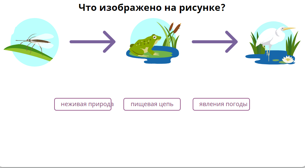 Что изображено на рисунке? Устное задание.