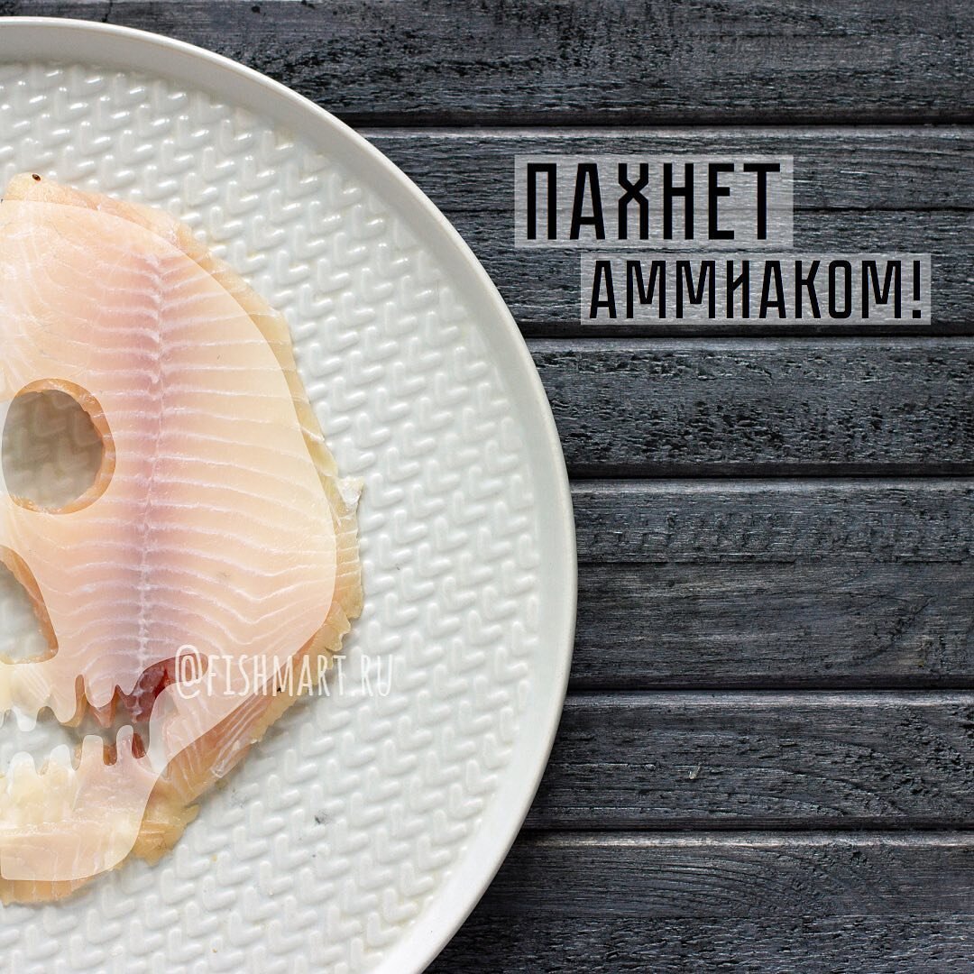 Пахнет аммиаком! | Клуб любителей рыбы. Fishmart | Дзен