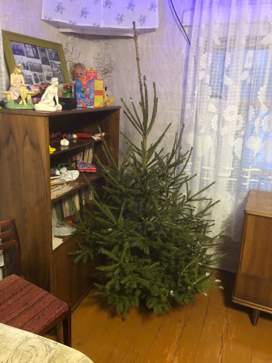 Наша ёлочка 