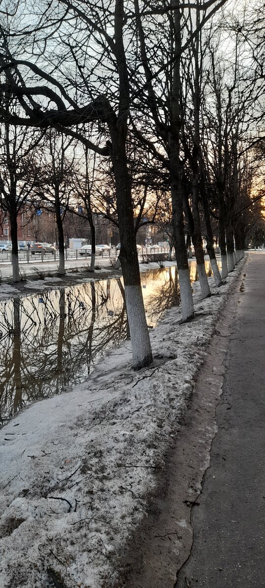 На улице потеплело, можно погулять