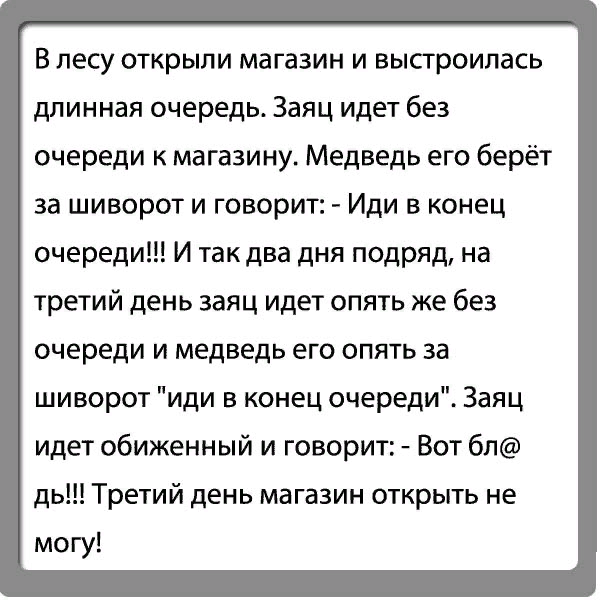 Волк заяц и хомяк собрались в китай. Анекдот про волка зайца и хомяка в китае. Анекдоты и шутки о животных. Анекдоты про зверей в лесу. Анекдоты про зверей смешные.