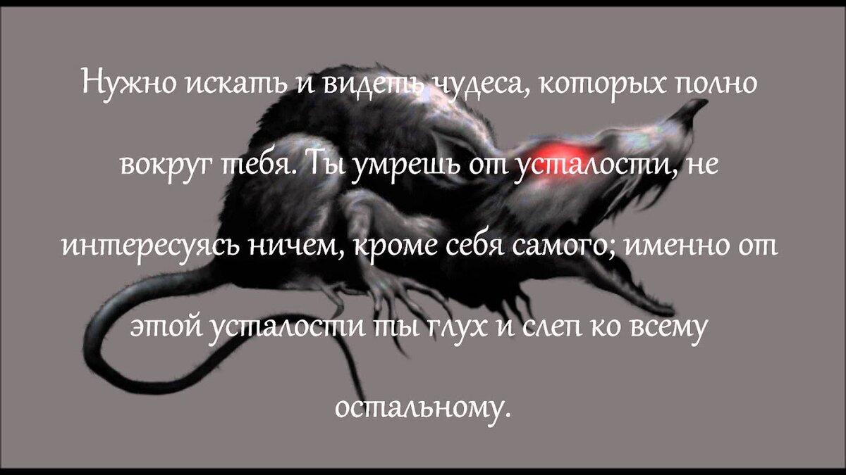 А мир необъятен....