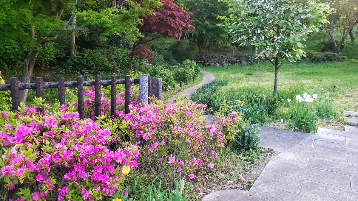 У входа в сад