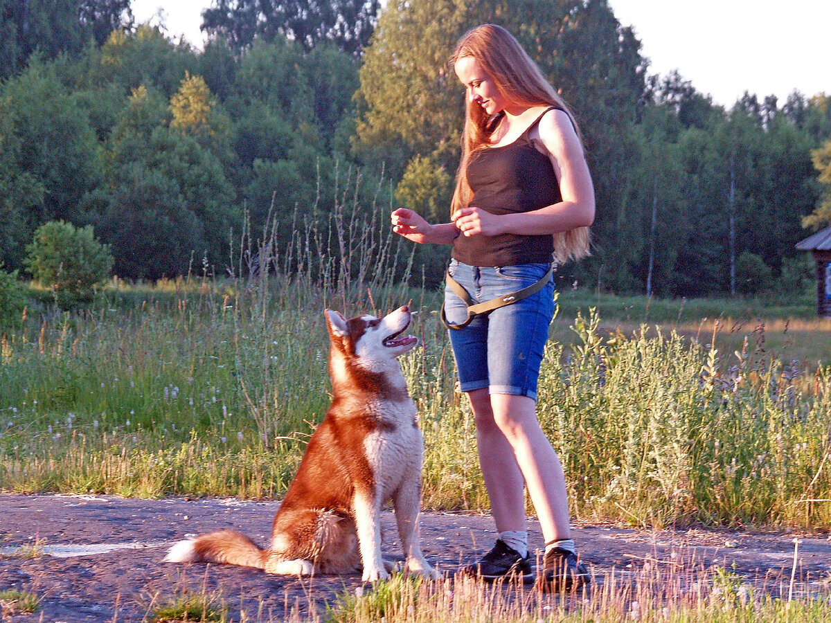 Занимаемся. Учимся ждать и не прыгать за едой