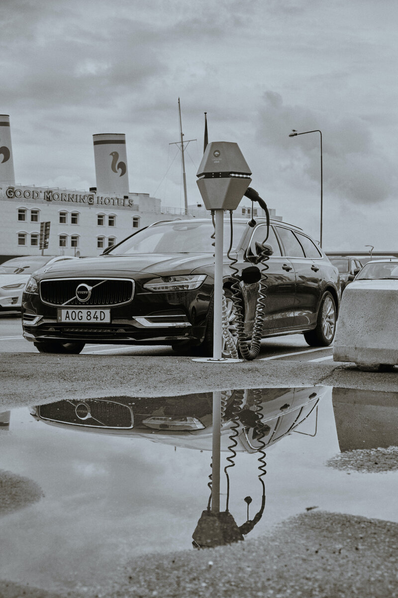 Изображение взято из открытых источников