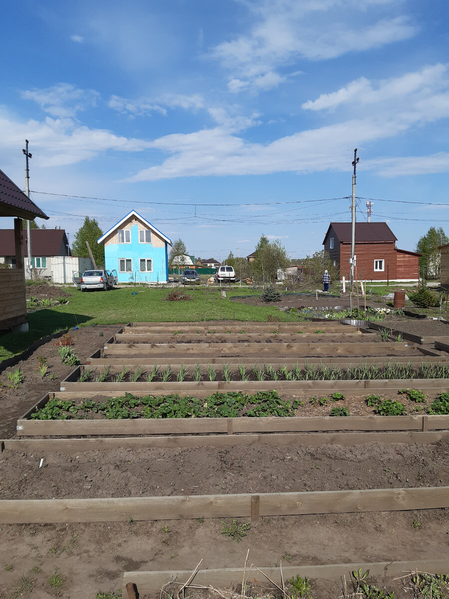 Май. Начало дачного сезона. Заборов.net. Фото автора.