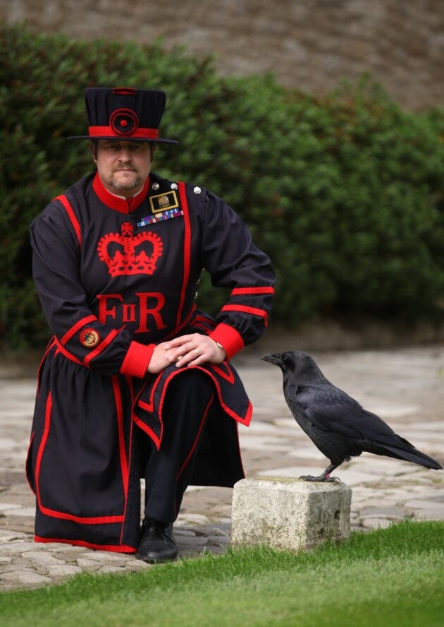 The tower of london legend. Тауэр бифитеры вороны. Тауэр Лондон бифитеры. Вороны Тауэра в Лондоне. Tower of London вороны.