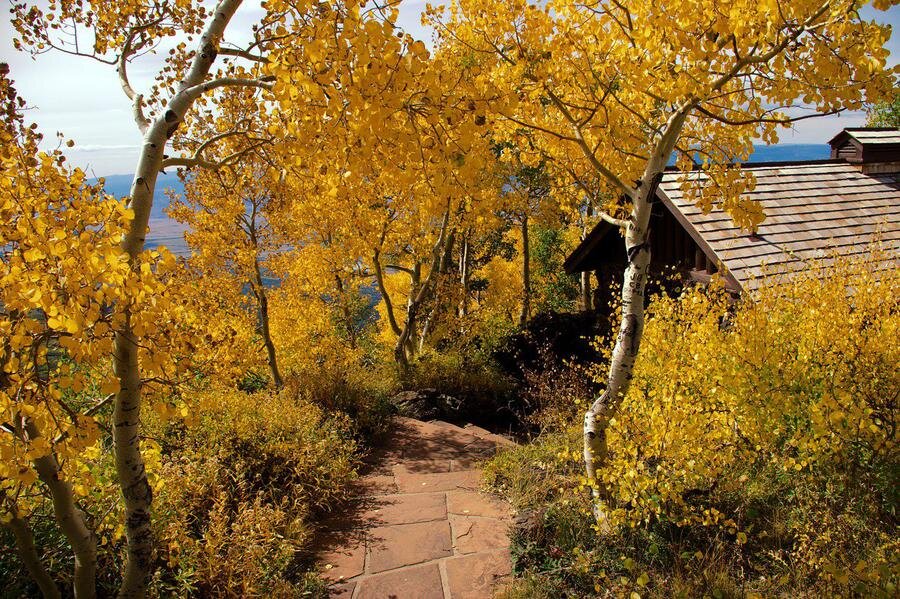 Фото: Pixabay.com