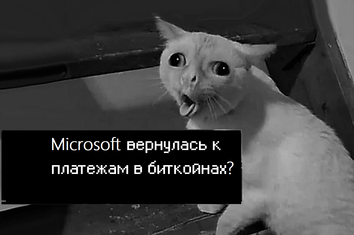 Microsoft вернулась к платежам в биткойнах