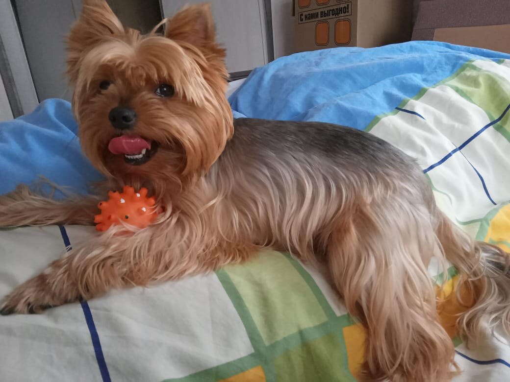 Наигрался, прокашлялся и отдыхает