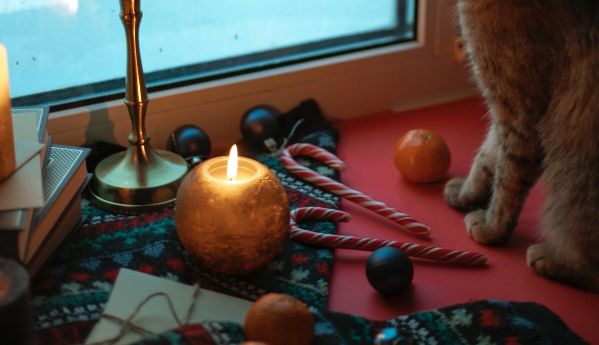 Новогодний кот, источник Unsplash