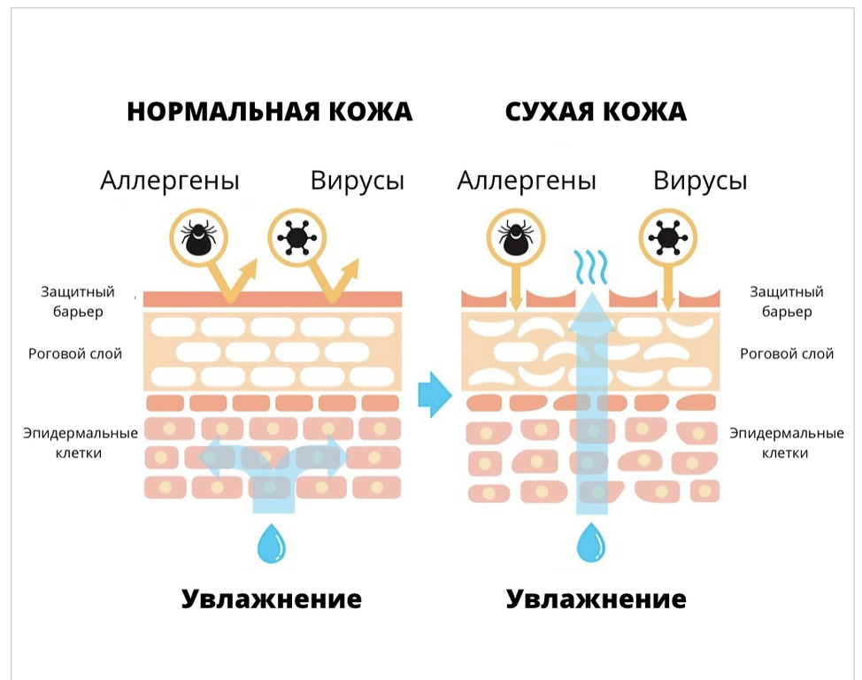 Восстанавливаем гидролипидный барьер с линие ламелярной косметики Woman's bliss