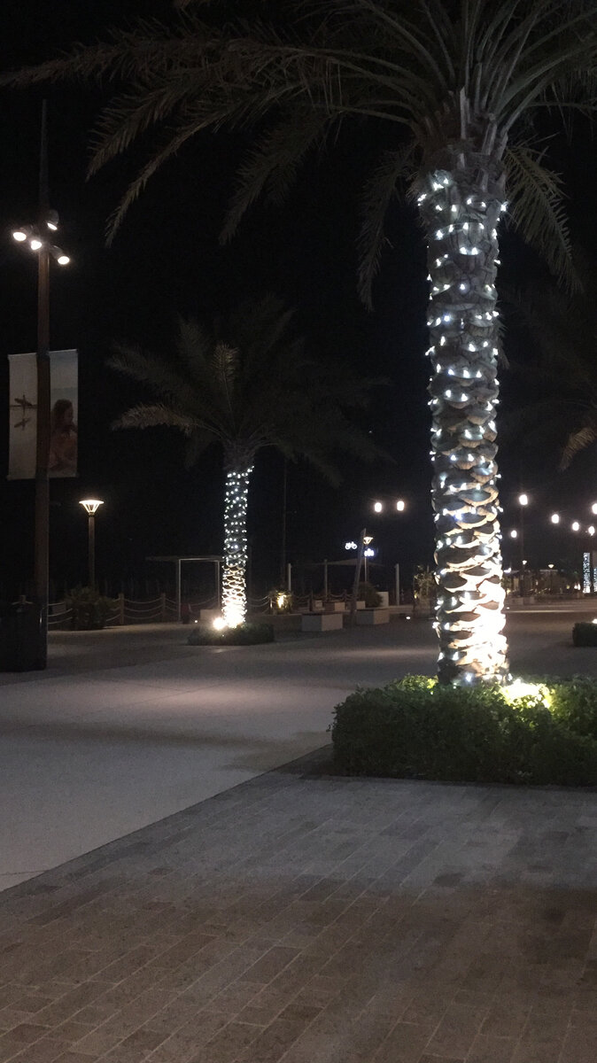 Ночная набережная в Абу-Даби 