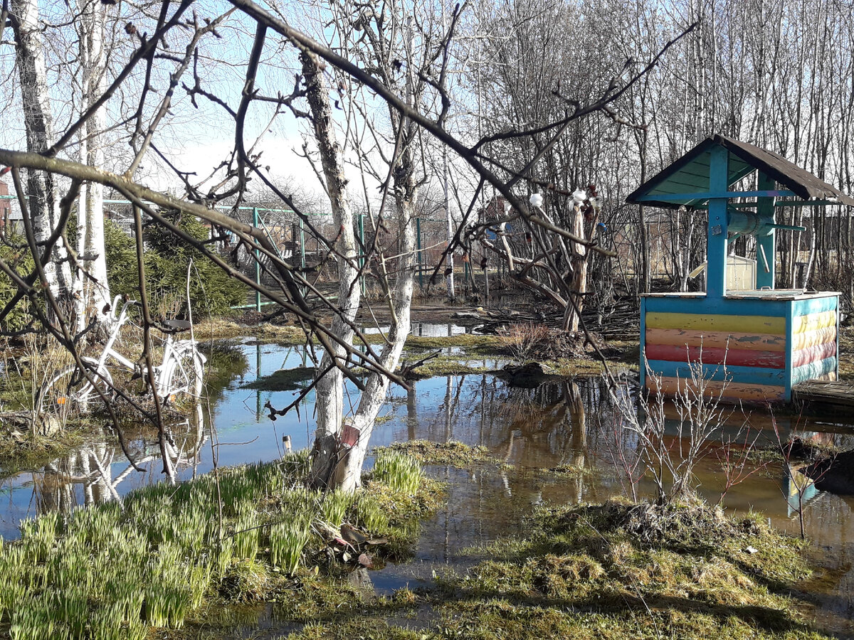 Лейла в разливе. Половодье на нашей даче в апреле | Лабиринты Лейлы | Дзен