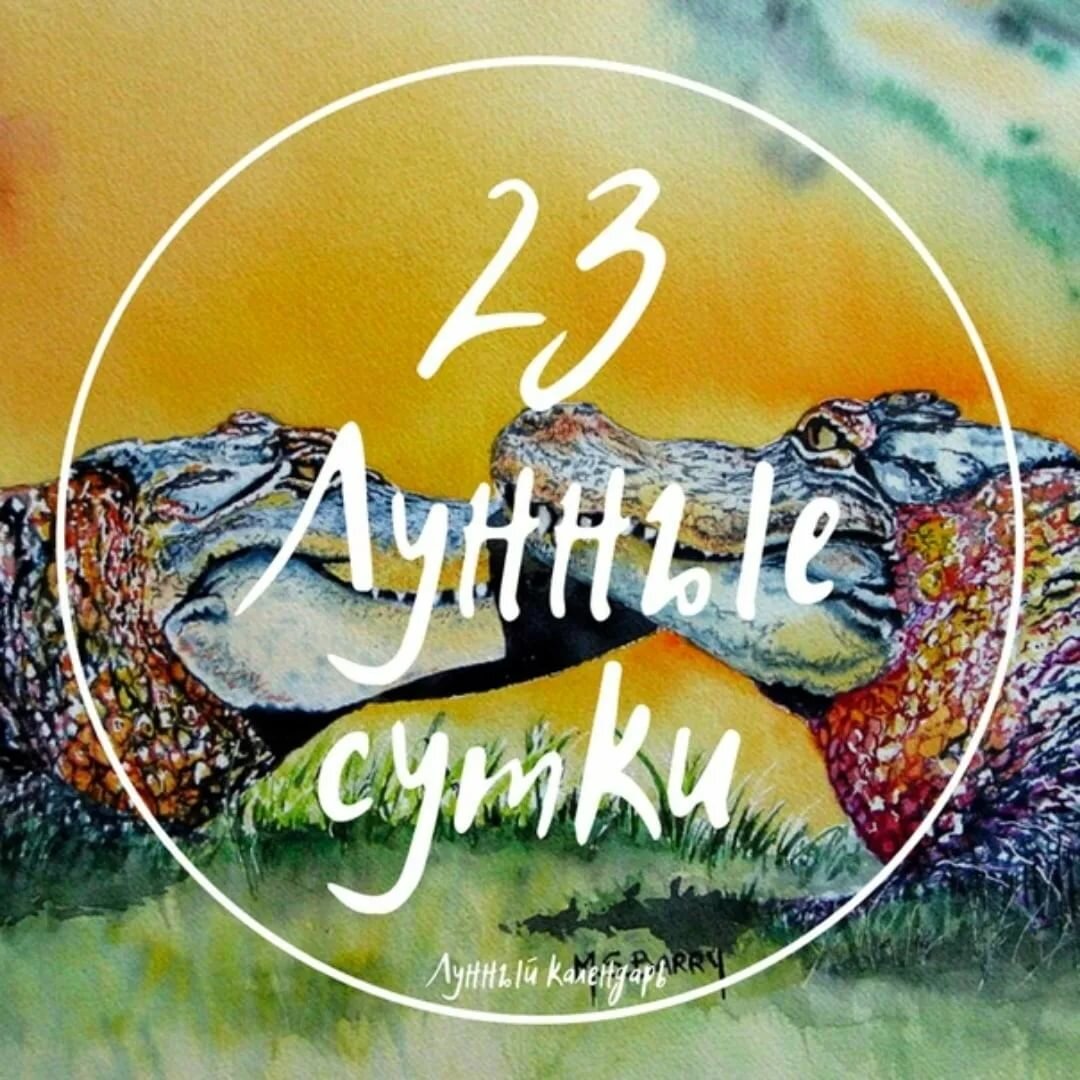 23-е лунные сутки с 24,04,2022 с 3,051 по 25,04,2022 по 4,09 🌘 Тяжёлый период. У человека проявляются склонности к тирании, неуёмный аппетит, ревность. В 23-е лунные сутки нельзя бездельничать, но необходимо подавлять в себе агрессию. Это день покаяния. Начинается период активного убывания Луны, на спад также идет и энергия в космосе. В такие периоды, все валится из рук. Но винить себя тут не в чем. Вы существо неотрывное от космоса и просто подвластны его периодам спада и подъёма.

К этому периоду необходимо подойти с ощущением того, что в предыдущий лунный месяц вы все сделали, что было в ваших силах и сделали правильно. И теперь, можете спокойно уделить время пассивному созерцанию. Начальство в этот период может превышать свои полномочия, появляется приказной тон со стороны руководства. Постарайтесь воздержаться от общения с сильными мира сего. Это день сохранения энергии и пассивного созерцания.

Рекомендуются медитации, уравновешивание своей энергетики при помощи ваших зодиакальных благовоний.

Убывающая Луна в Рыбах