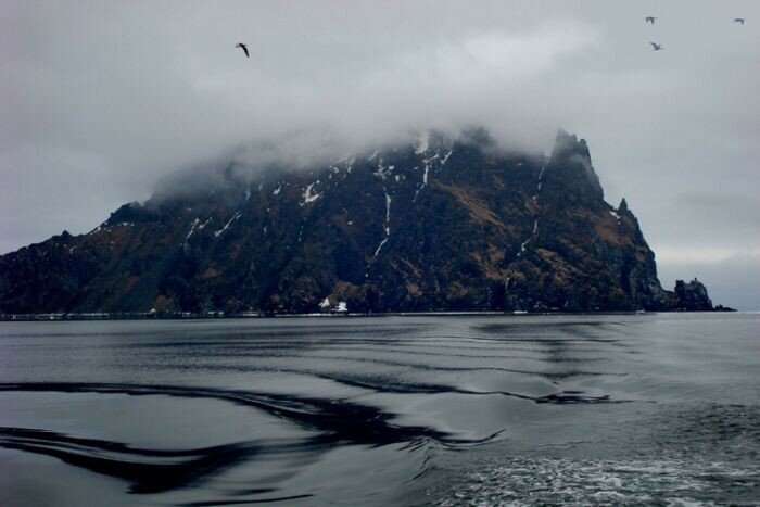 Источник: m.fishki.net