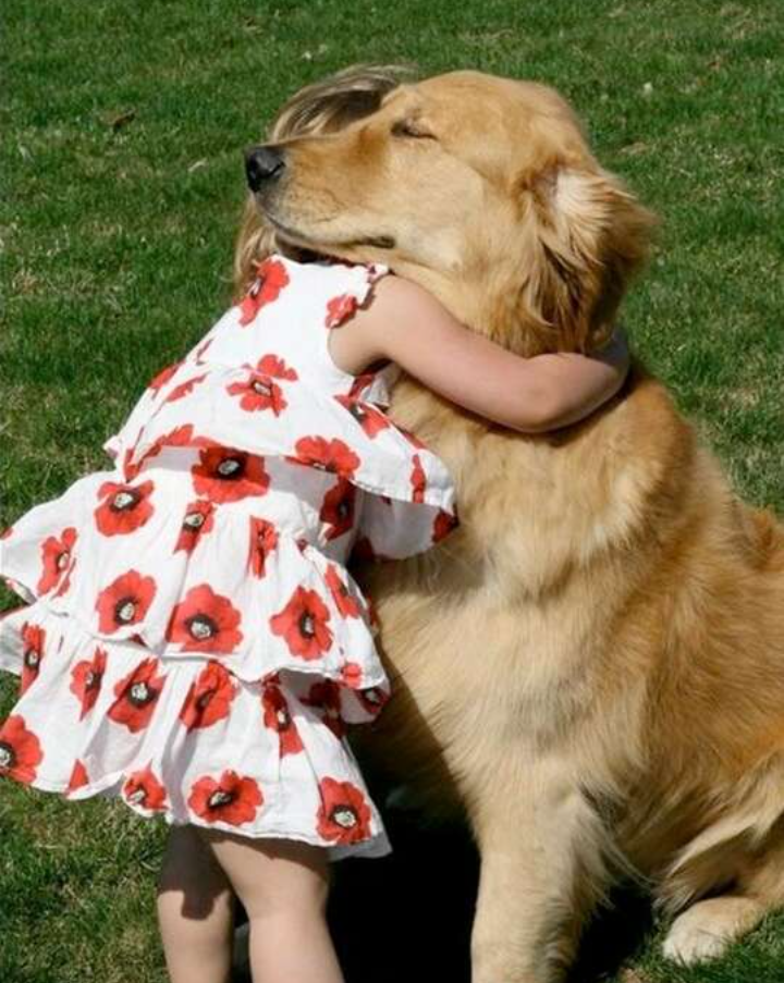 Золотистый ретривер обожает детей.