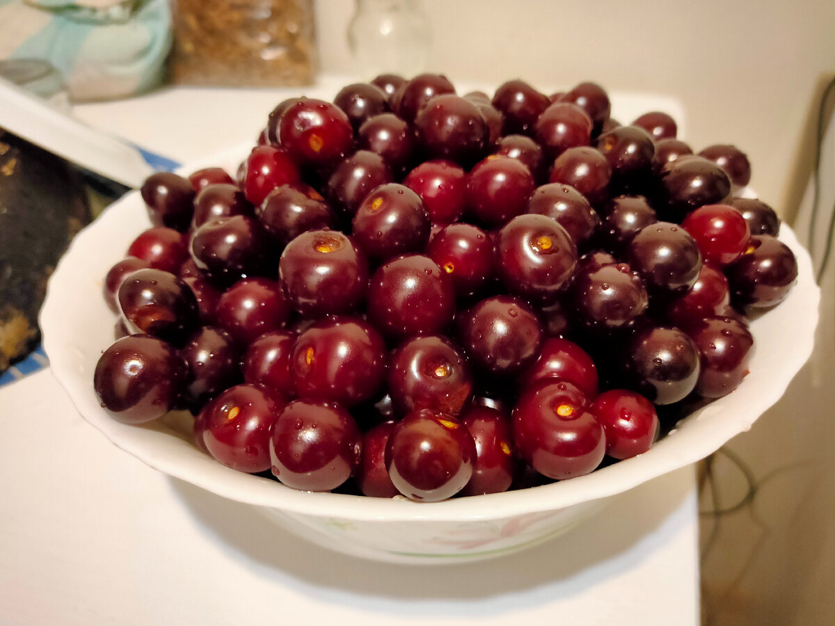 Моя черевишня