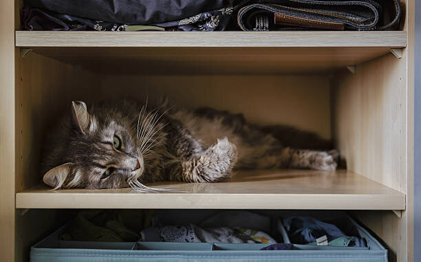 Фото из Интернета.