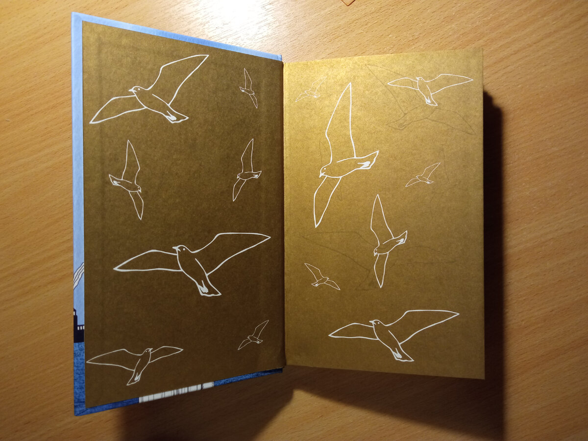 У книги очень красивые форзацы, золотистые с белыми чайками. Герои книги стремятся к свободе, а чайка, как мне кажется, подходящий символ.