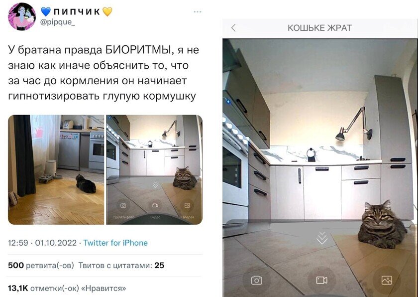    Источник: Twitter