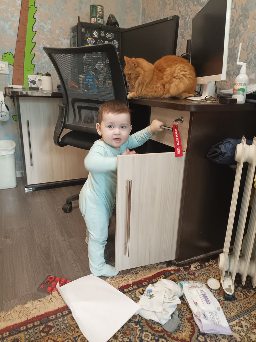 Ни один ящик не обойдёт вниманием маленький "инспектор"