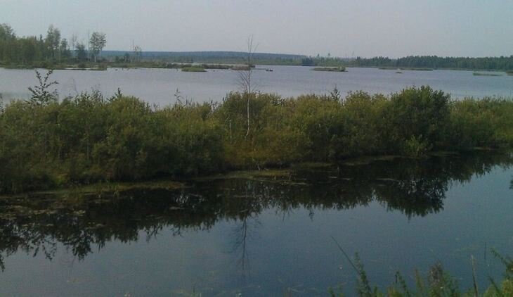    Нижегородские раки принесут дополнительный доход местным рыболовам