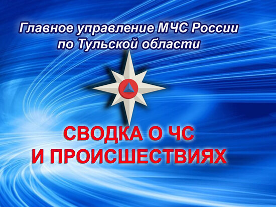     фото: МЧС по Тульской области