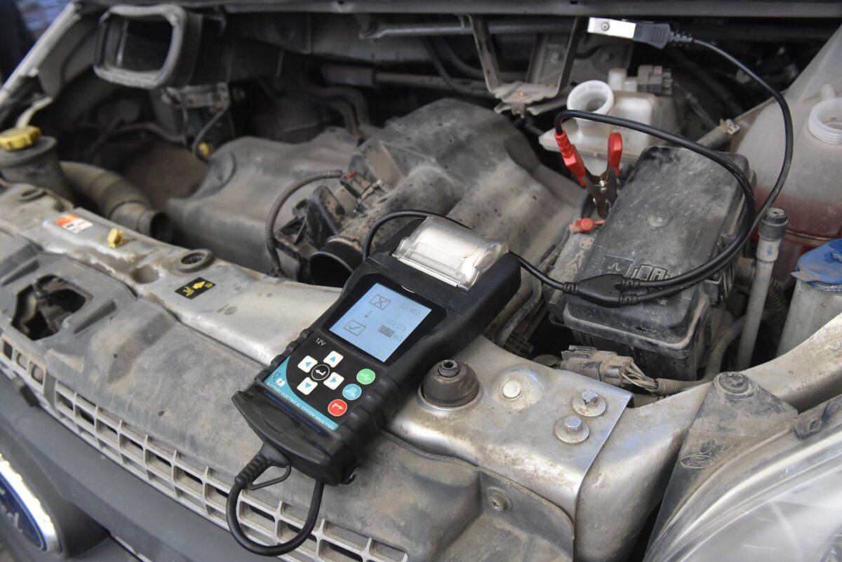    Антон Кардашов / Агентство «Москва»