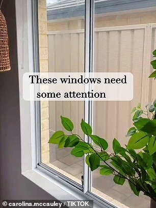    carolina.mccauley |tiktok