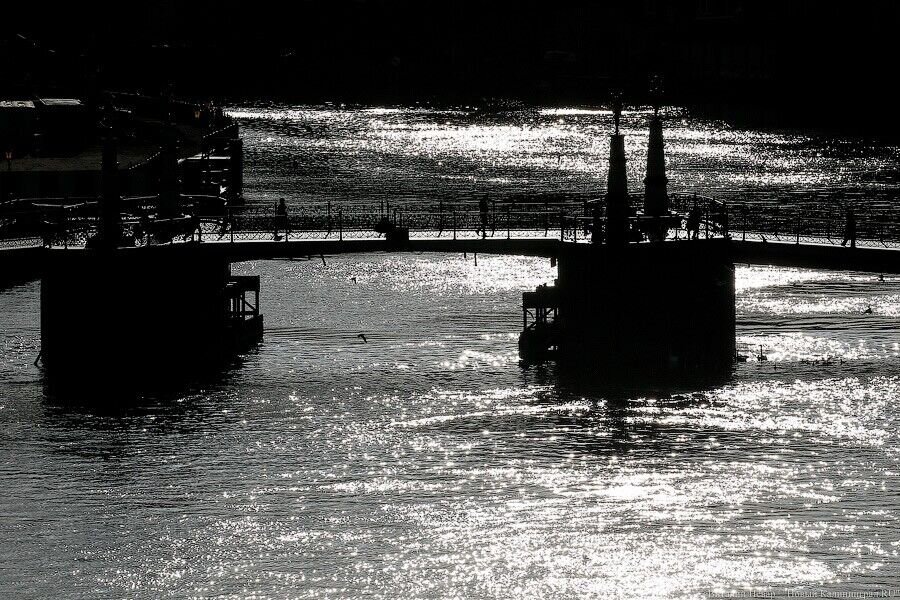 Фото: Виталий Невар / Новый Калининград