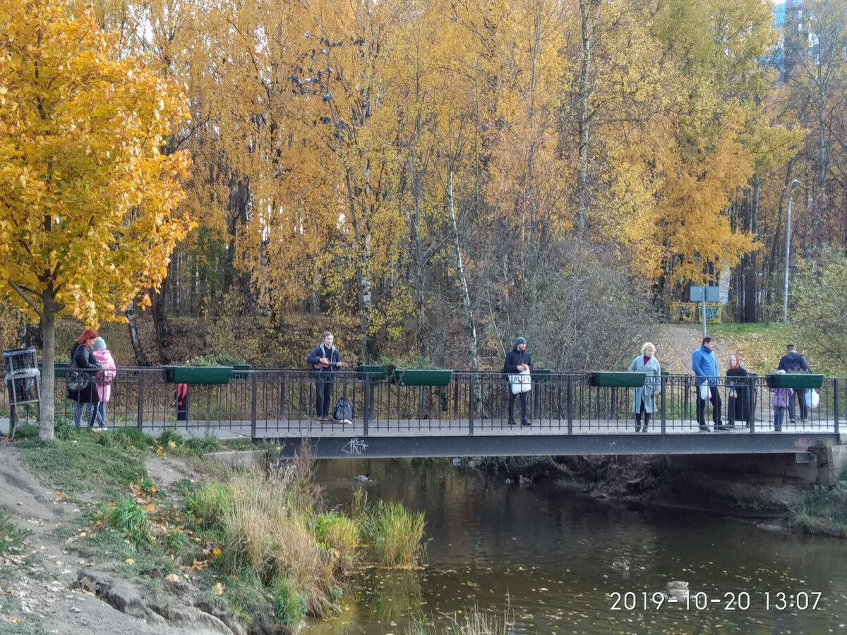 Парк оккервиль кудрово фото